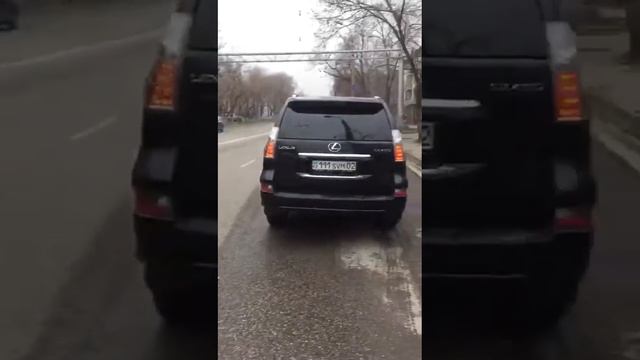 Сиви Махмуди смотреть онлайн