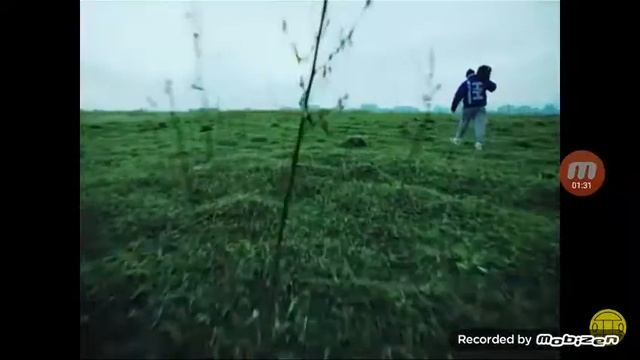 Песня грибы тает лёд