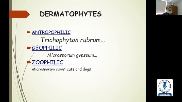 Dermatophytes | Microbiology | Prof. Dr. Muhammad Akram Hossain смотреть онлайн