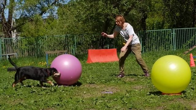 Трейббол. Соревнования 19.05.2019. Надя и Алёна - 2 (три мяча) смотреть онлайн