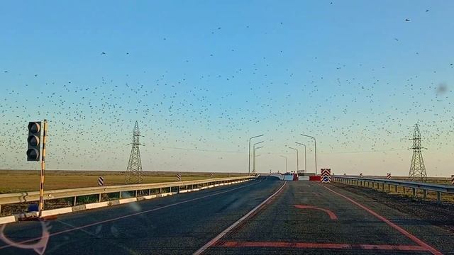 саранча под астраханью смотреть онлайн