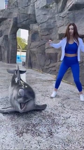 танец с дельфином смотреть онлайн