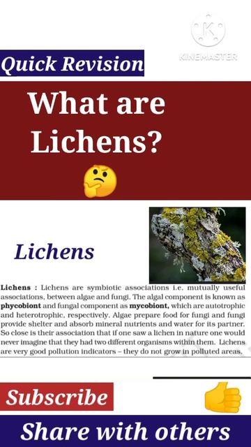 What are Lichens? | Biological classification | 💥Quick Revision 🔥Target NEET/MBBS #shorts #ytshorts смотреть онлайн