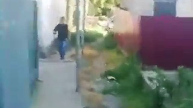 8642 в теле 2 тебя заскамлют смотреть онлайн