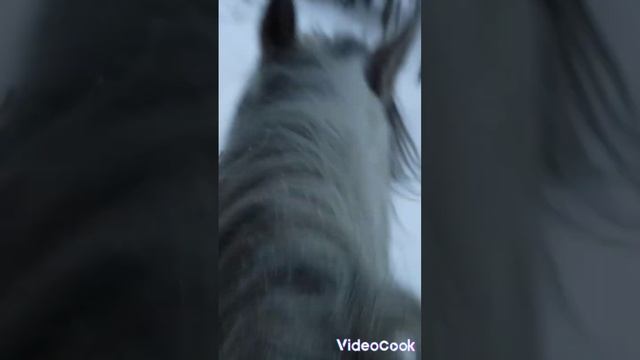 В лес верхом смотреть онлайн