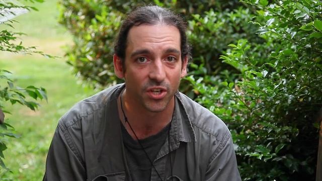 Chytridiomycosis - Chytrid The Amphibian Genocide