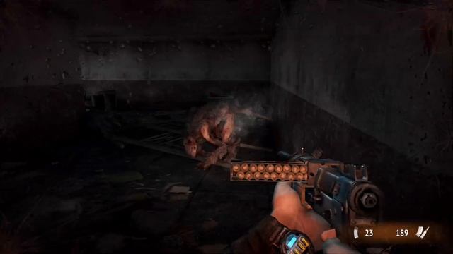 Metro 2033. Часть 2 Радиационные грибы.