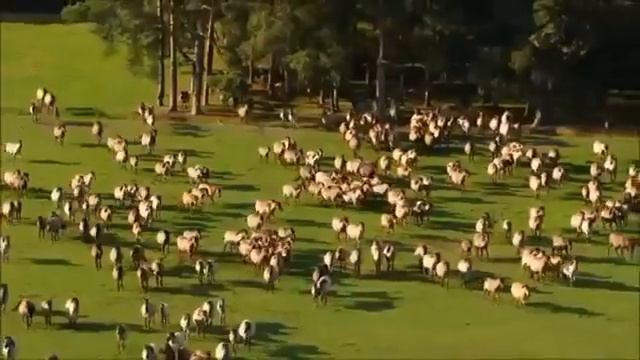 Красивая песня смотреть онлайн