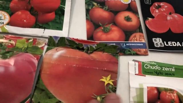 Какие сорта томатов посею в 2024-м году.