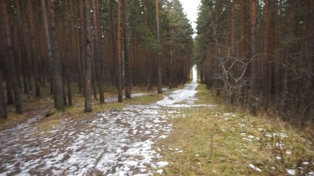 Выше гор могут только горы....(02.11.2017г.) Видео Нусратуллина Ф.Г. смотреть онлайн