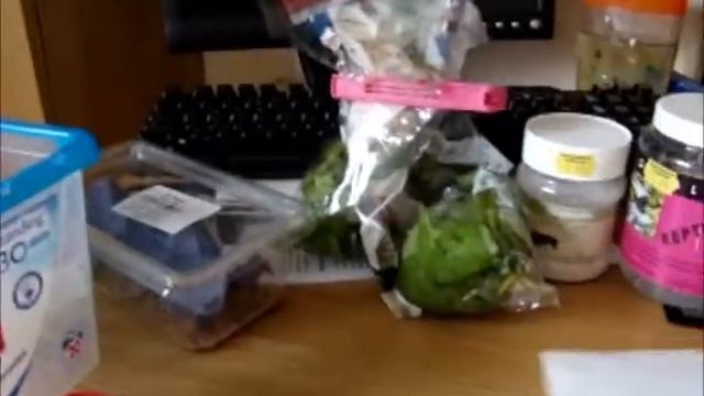 How to care for locusts (4ths/5ths) смотреть онлайн