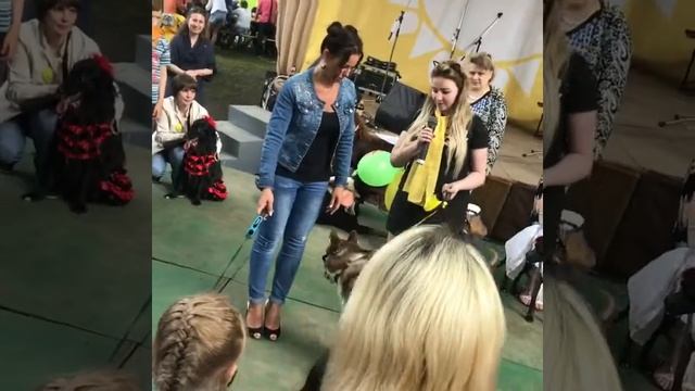 Зоофестиваль смотреть онлайн