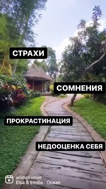 Путь к учебе за рубежом может быть таким - это нормально смотреть онлайн