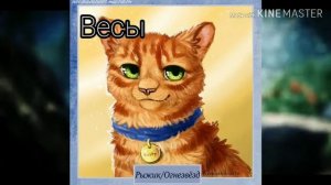 Тест •Кто ты из котов воителей по знаку зодиака?😺•