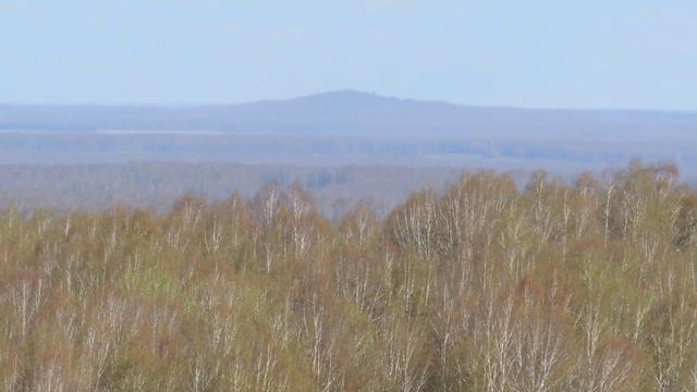 Сопка Мохнатая 376метров, ягель. 18.05.2023