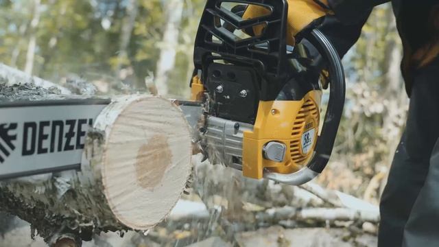 Бензопила DENZEL DGS-5820 (1605904)