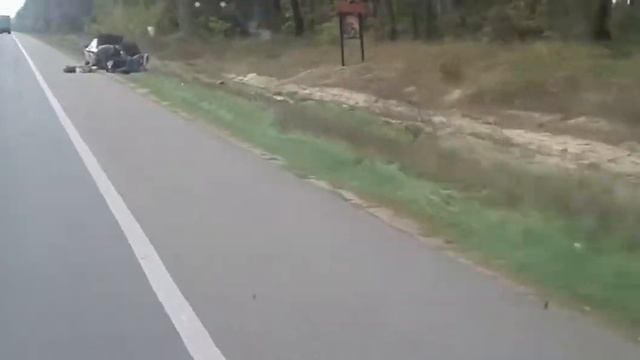 Грибы на трассе .. Mushrooms on the track. смотреть онлайн