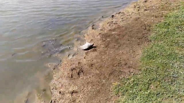 Выходной за городом смотреть онлайн