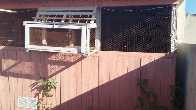 قضاء على دبانة و جميع حشرات في سجنة بي أرخص دوا смотреть онлайн