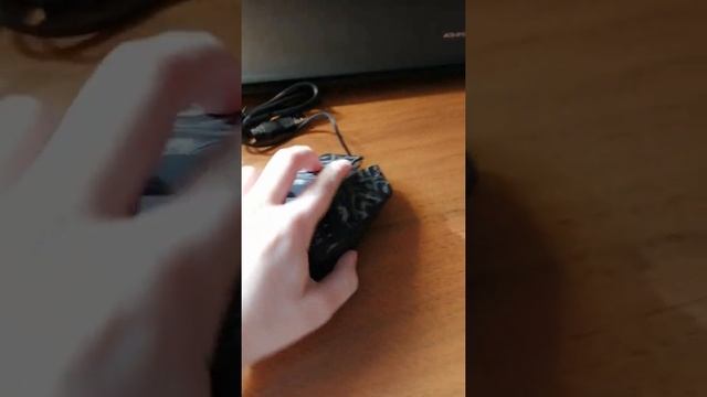 Игровая мышь (обзор)