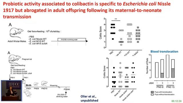 Probiotic Effects On Gut Physiology By Vassilia Théodorou