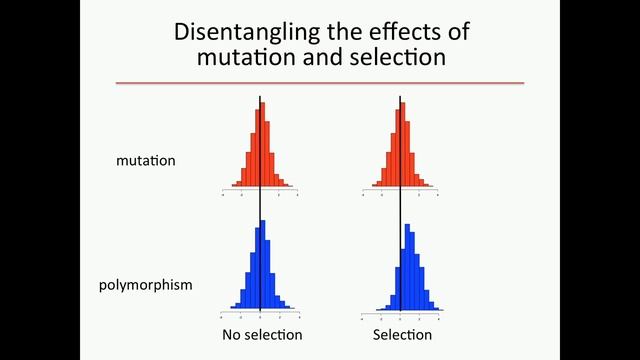P Wittkopp: Evolution of gene expression: from mutation to polymorphism to divergence. смотреть онлайн