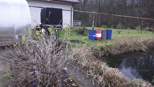 От оттепелей почки могут распуститься. Сморода смотреть онлайн