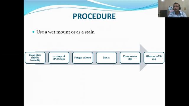 Lactophenol Cottonblue Staining - Fungi