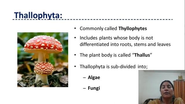 Lecture-I,Introduction of Cryptogamic Botany,Part-I смотреть онлайн