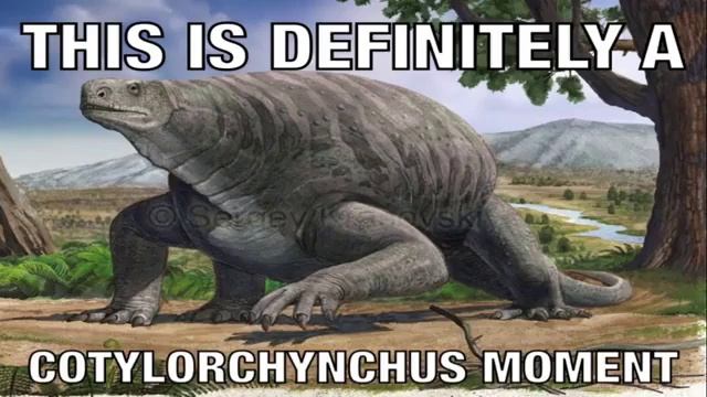COTYLORCHYNCHUS MOMENT смотреть онлайн