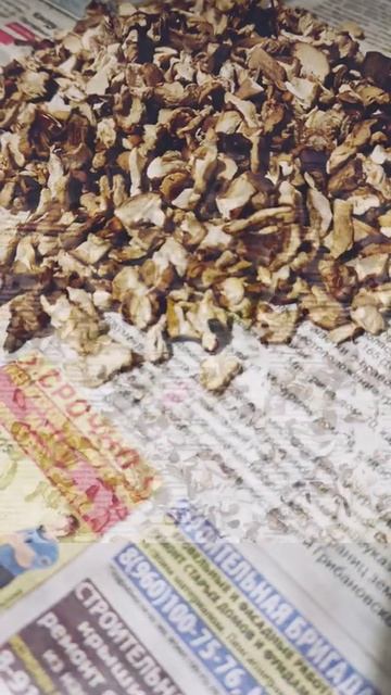 На зиму в Суп🤪 смотреть онлайн