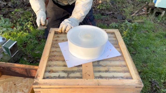 Beekeeping - Varroa treatment trickle method using Oxybee смотреть онлайн