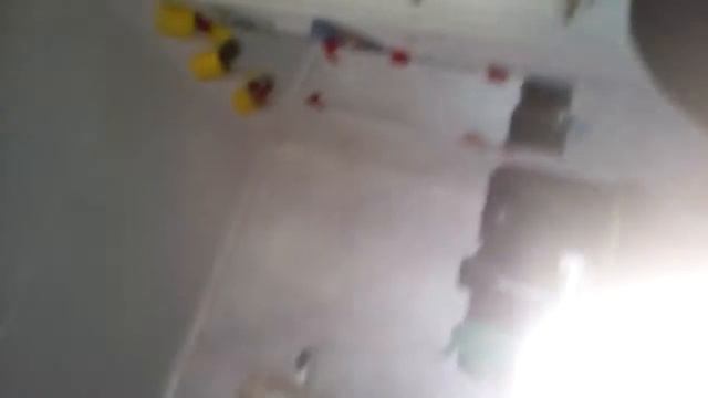 грибы тает лед