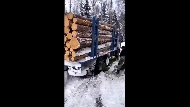 ✅ ОБЗОР Видео от Союз Лесозаготовителей Харвестеры и Форвардеры смотреть онлайн
