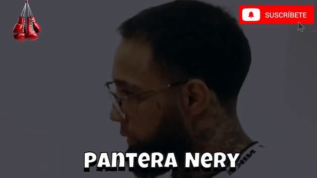 🚨ULTIMA HORA💥IMPACTANTE decision de PANTERA NERY🧨sacuden el mundo del boxeo💥👈NOTICIASdeBOXEOHOY смотреть онлайн