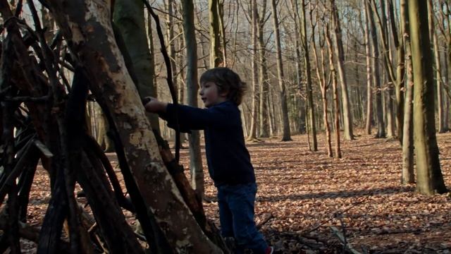 Villers la Ville Woods - Blackmagic Micro Cinema Camera (BMMCC) смотреть онлайн