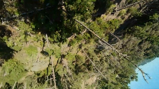 Betaflight 4.3.1 and camera tuning flight смотреть онлайн