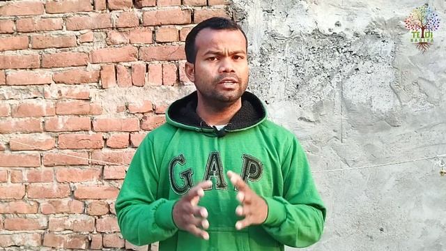 100 के 100 पौधे आयेंगे उगकर | आज से उगेगा हर एक बीज | top tips for Seedliing | Fill Pro tray | смотреть онлайн