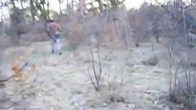 Truffle hunting with Truffle Mania BG! смотреть онлайн