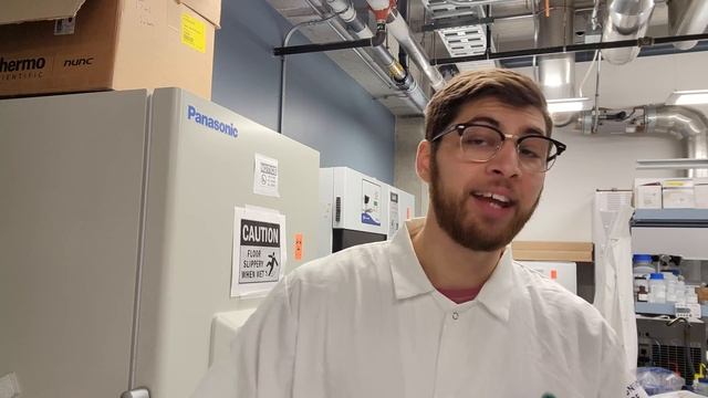 Genetically Modifying Yeast to Produce Cinnamon смотреть онлайн