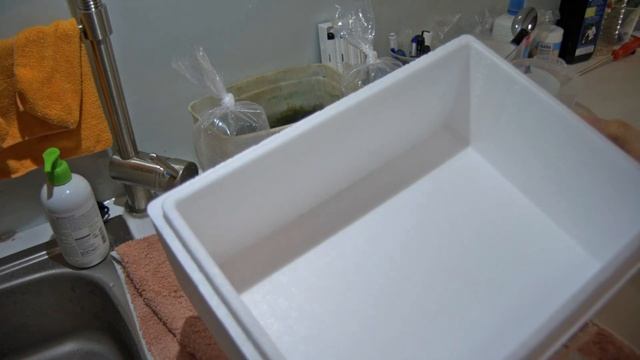 Schnecken gehen auf die Reise - Wie verpacken wir unsere Schnecken? смотреть онлайн
