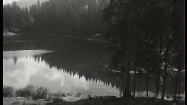 ВА Росинка "Відлітають журавлі" 1971 смотреть онлайн