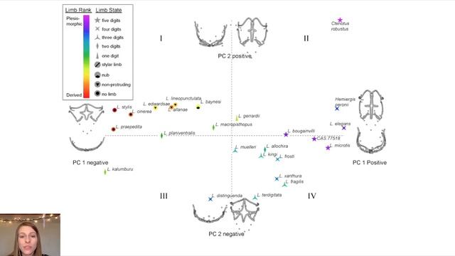 Investigating Patterns of Convergence in the Limblessness of Squamates - Krista Koeller смотреть онлайн