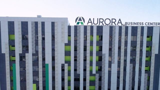 Логокейс 2020