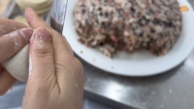 How To Make Chinese Dumplings With Mushroom Black Fungus Water Chestnut #Chinese Dumplings
