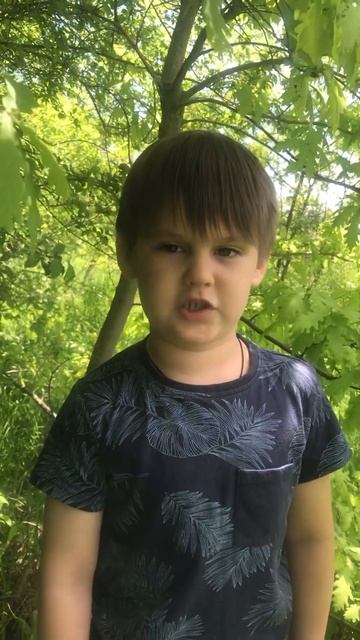 На братских могилах/ Высоцкий/ #стихи