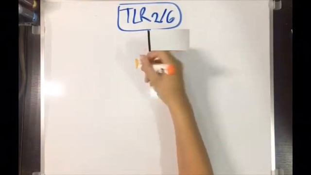 CÁNDIDA GLABRATA: TLR’s смотреть онлайн