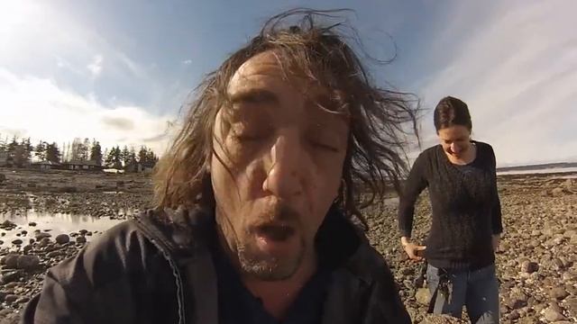 Ammonite Queen,Skippy,Dogs And Amazing Fossil Crabs Wow смотреть онлайн