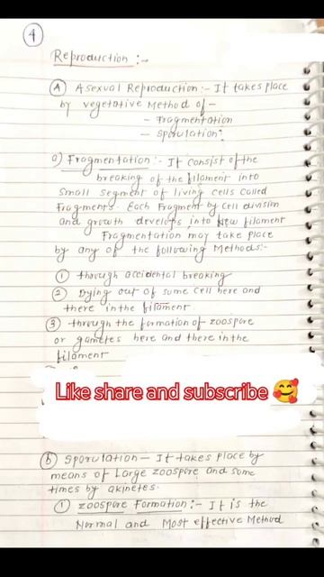 Asexual Reproduction In Oedogonium || Reproduction In Oedogonium || Algae #bsc #botanynotes #botany