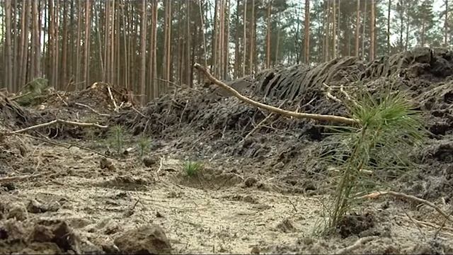 Єдина країна, Тернопіль.25.03.2017 смотреть онлайн